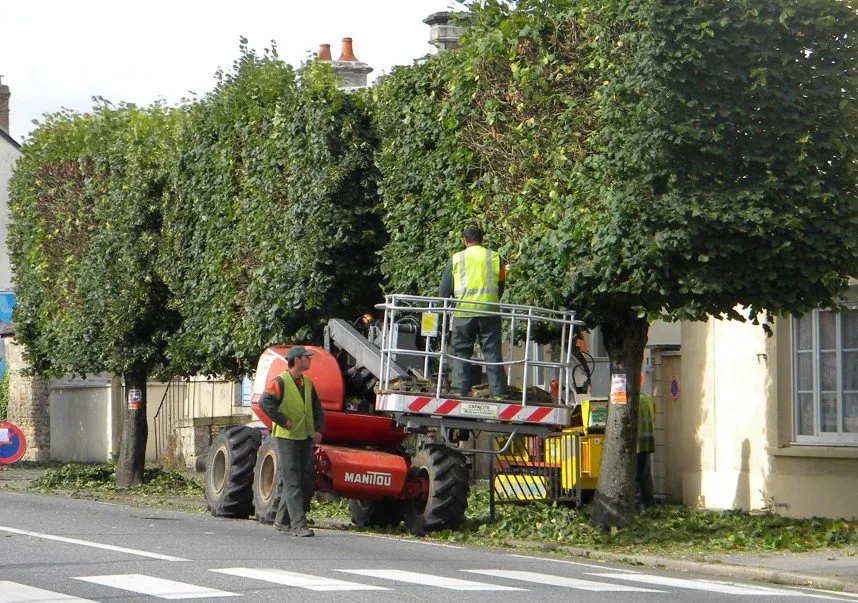 Maçonnerie paysagère