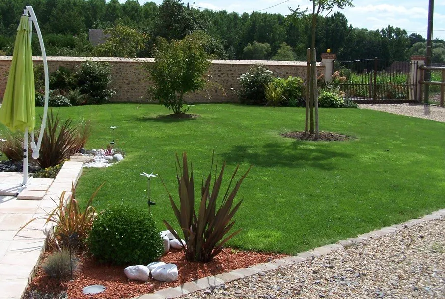 plantation de gazon